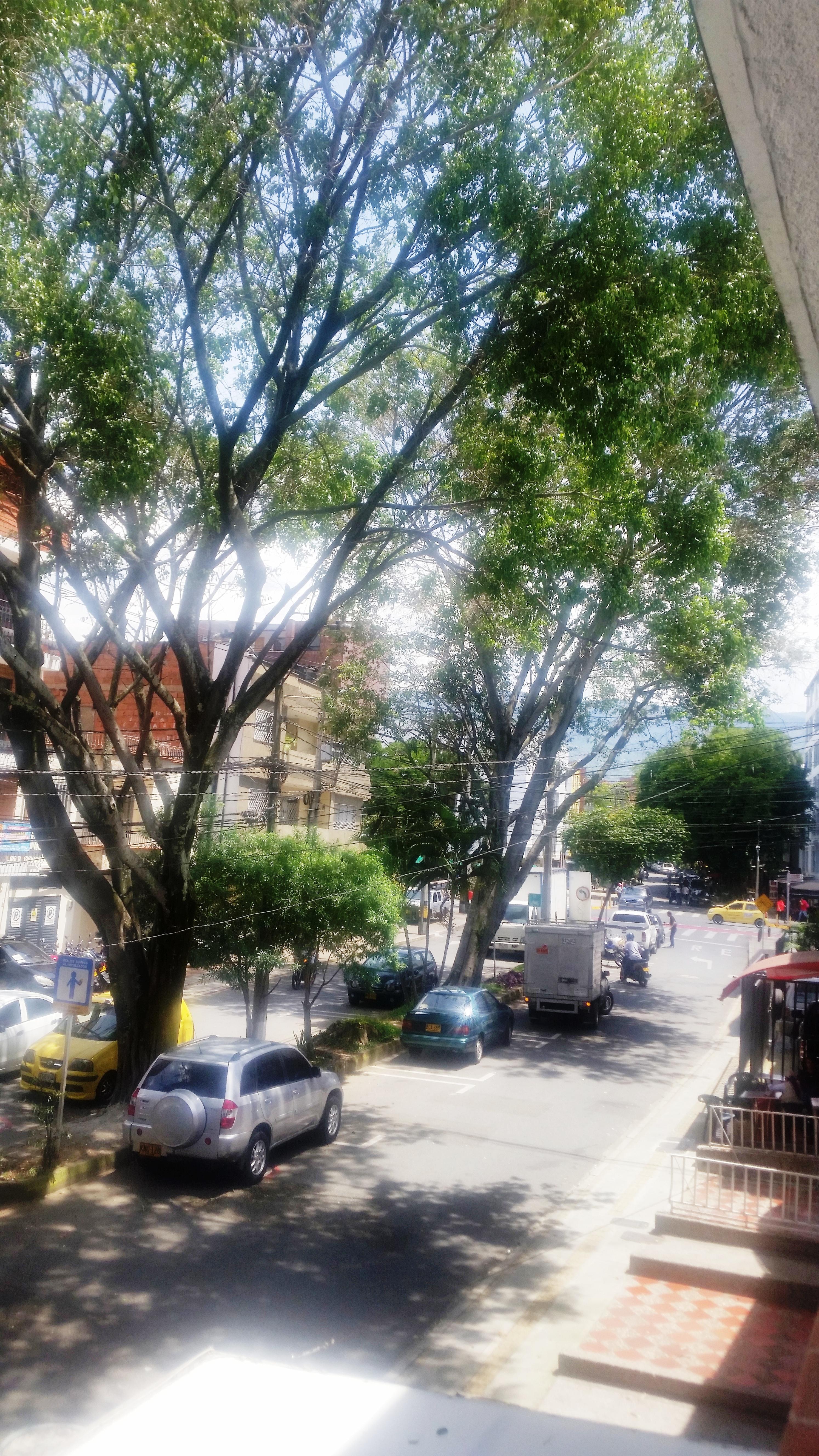 Hotel Quinta Avenida Medellín Dış mekan fotoğraf
